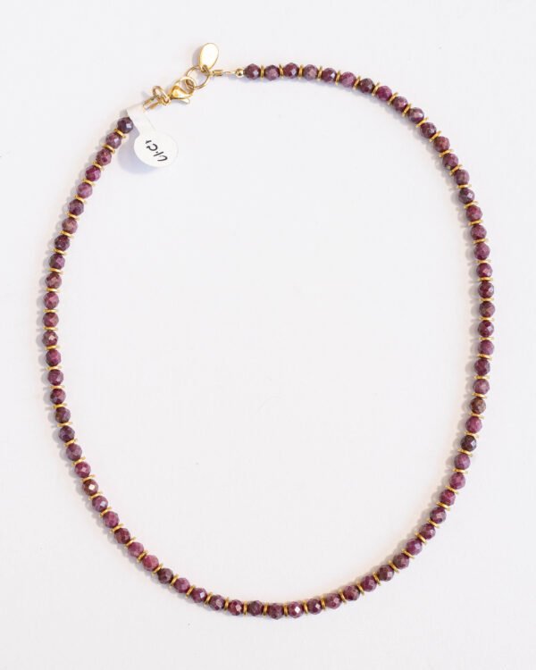 שרשרת נורית