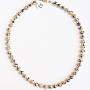 ⁦שרשרת  ג׳ספר דלמטי⁩ – תמונה ⁦2⁩