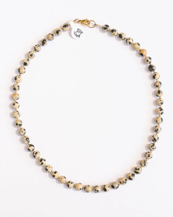 שרשרת  ג׳ספר דלמטי