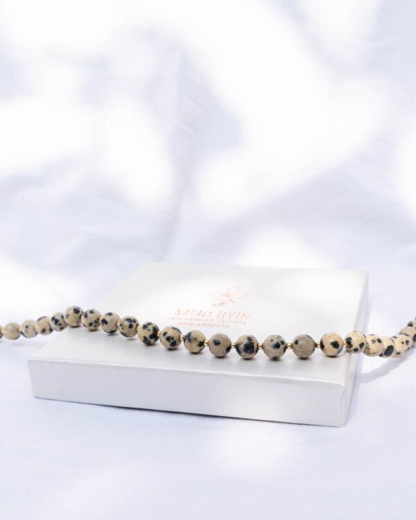 שרשרת  ג׳ספר דלמטי