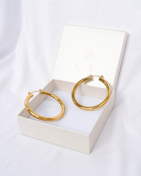Stainless steel hoop earrings