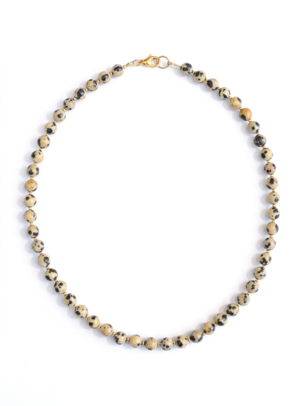 שרשרת  ג׳ספר דלמטי